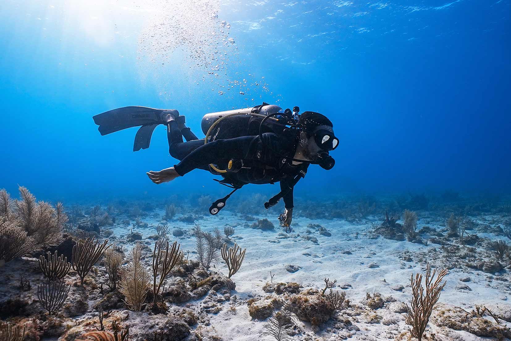 Underwater Museum Musa & Manchones Reef 2 Tanks
